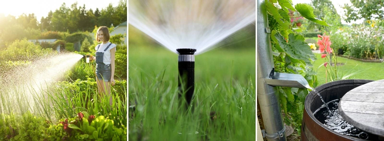 XL Gartenwasser
