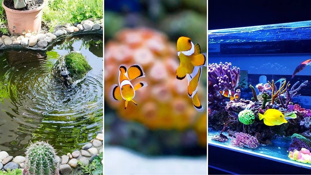 M Teiche Aquaristik
